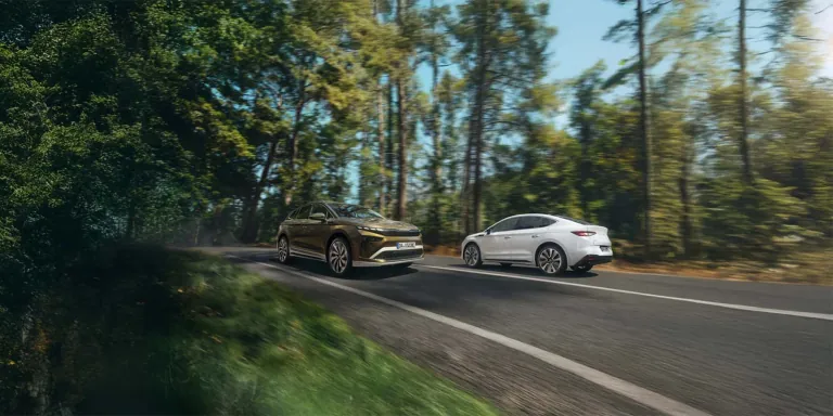 Skoda Fahrzeuge auf einer Straße im Wald